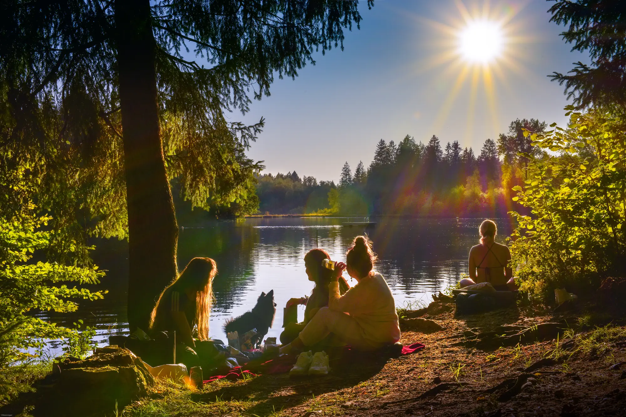 Gruppe mit Hund picknickt im Gegenlicht am Ufer des Waldsees bei Lindenberg.