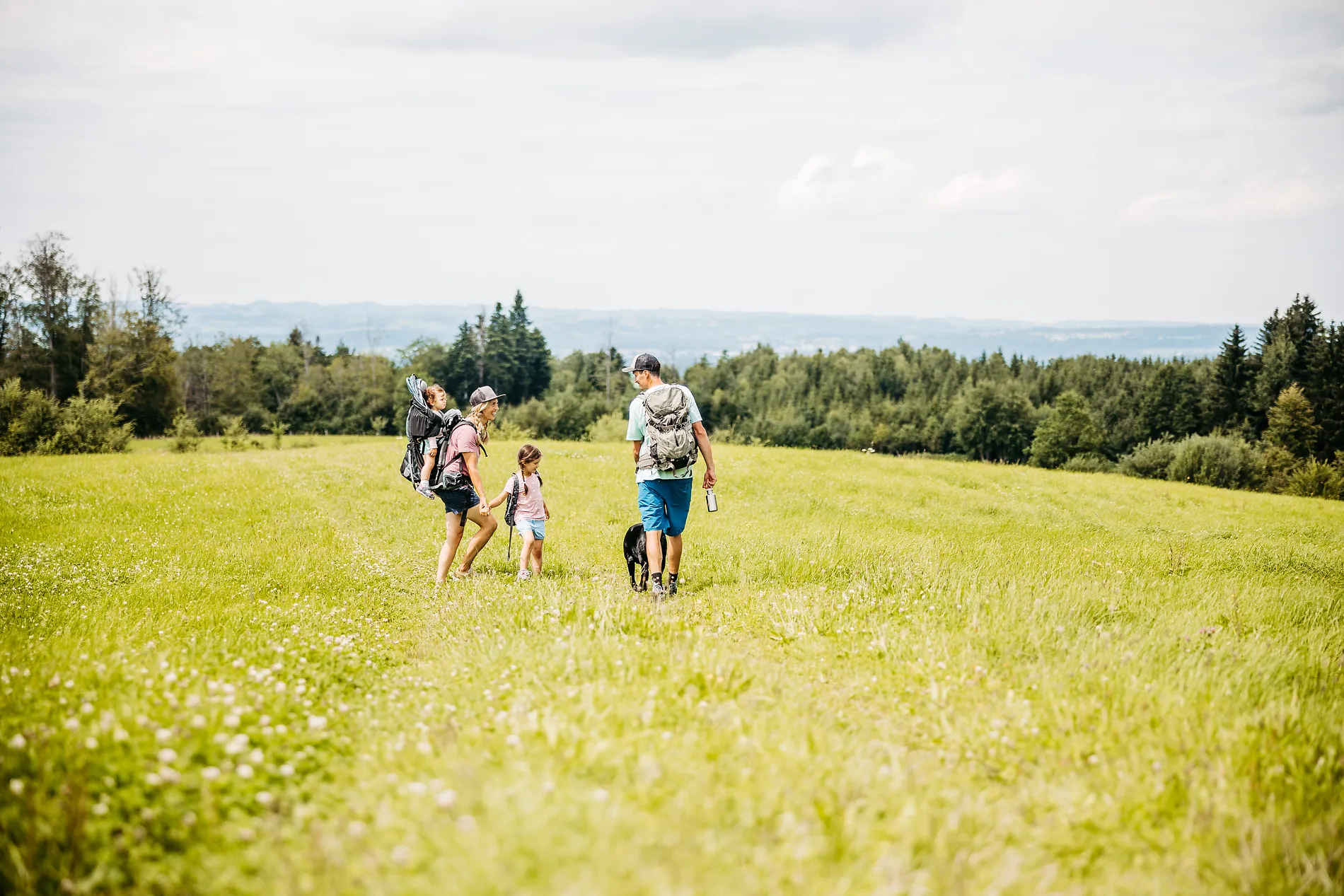 Familie mit zwei Kindern und Hund wandert über eine Sommerwiese bei Lindenberg, dahinter Wald und der weite Blick ins Hügelland.